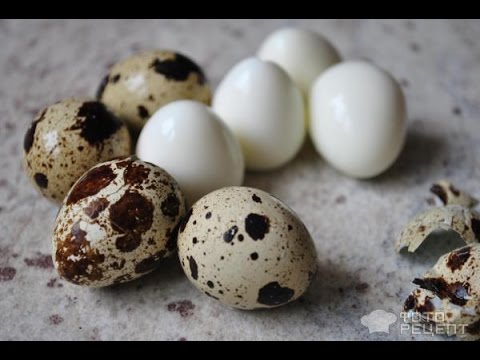 Как очистить перепелиные яйца? Как очистить перепелиные яйца?