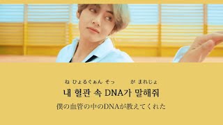 【カナルビ/日本語訳】  DNA - BTS (防弾少年団)