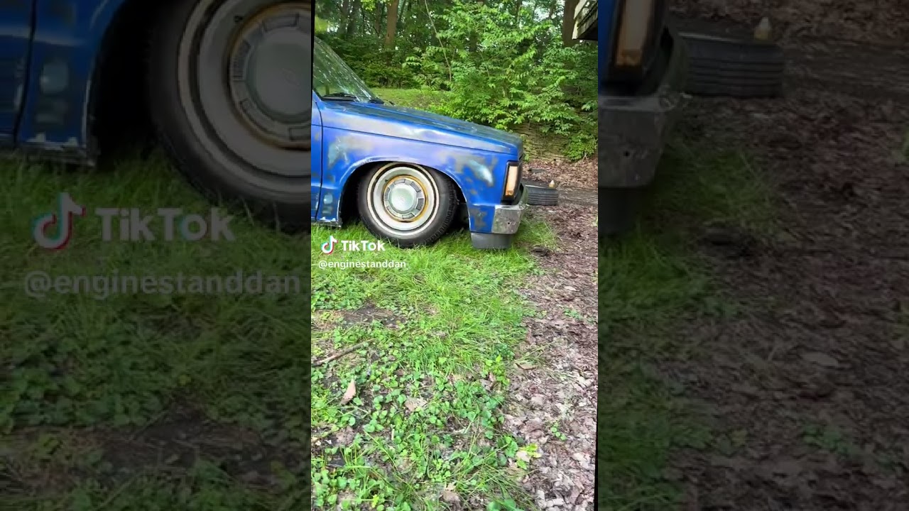 new gold wheels and  white wall tires   