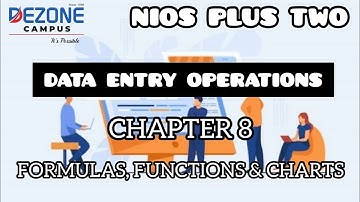 NIOS Plus Two Data Entry Operations Chapter 8 | Formulas, Functions & Services | Class 12 NIOS
