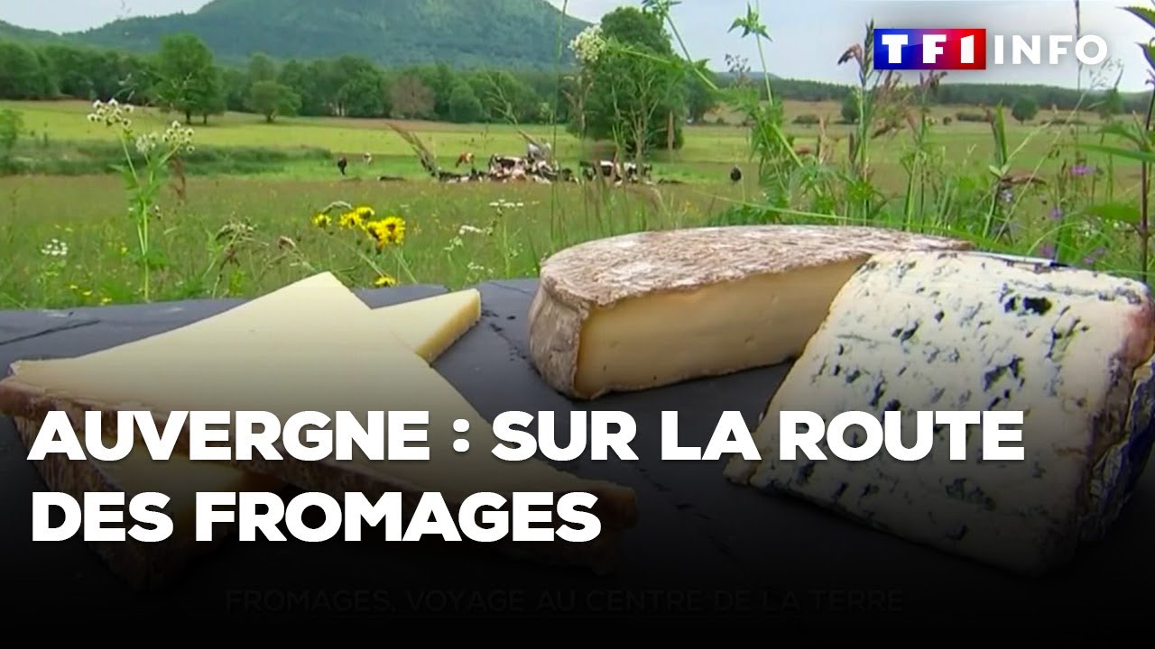 Auvergne : sur la route des fromages