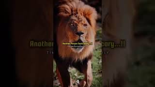 never break eye contact