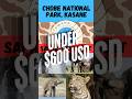 African Safari Kasane, Botswana for cheap!