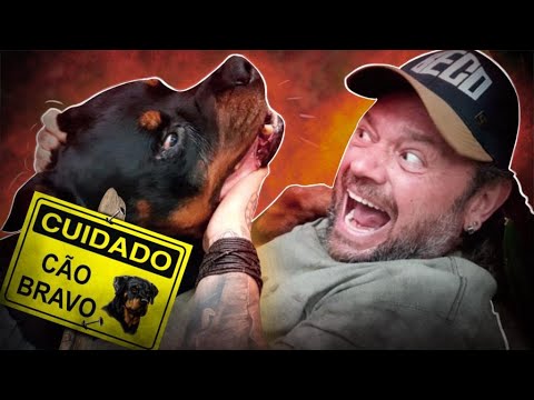 ROTTWEILER, O CACHORRO