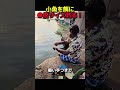小魚をエサにしてサイズUP!