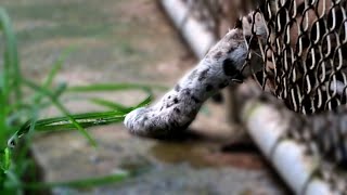 The Gr Is Always Greener On The Other Side...