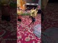 Tari Piring #tariminang #taripiring #cintabudaya