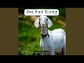 Wat Bud Blang 