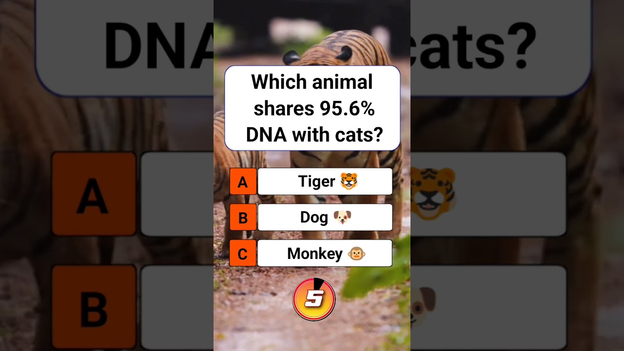 Which animal shares 95.6% DNA with cats? 