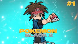 THE POKEMON BLACK 2 EPISODE 1 IN HINDI