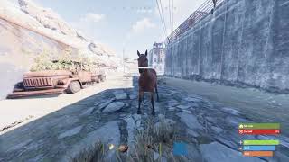Horse Farming At Outpost