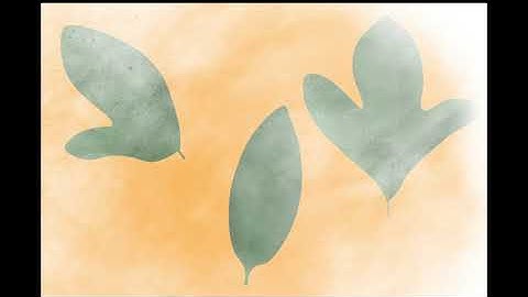 The Story Of The Sassafras Tree