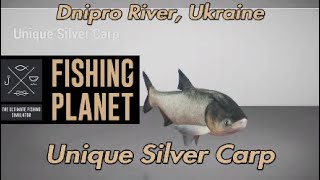 Unique Silver Carp Dnipro River Ukraine Fishing Planet Guide