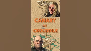Canary vs Crocodile | Stronghold Crusader: DE #strongholdcrusader #gameplay #rts #fireflystudios