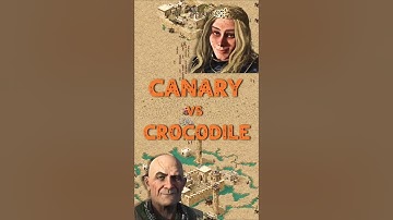 Canary vs Crocodile | Stronghold Crusader: DE #strongholdcrusader #gameplay #rts #fireflystudios