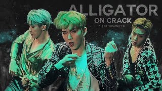 ｢ CRACK ｣ Monsta X - 'Alligator' MV