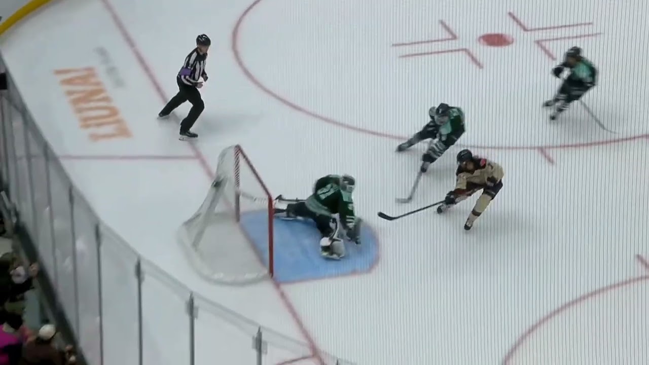 You Won't Believe These Epic PWHL Hockey Saves!