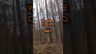 New Year, New Hunting Season - ARDF #Shorts