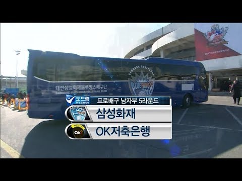 KB보험