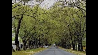 LIMACHE, Un pequeño Fragmento de una Gran Historia