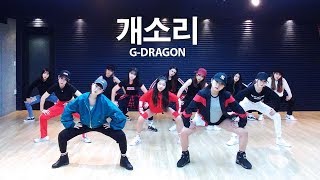 G-dragon - 개소리 (Bullshit) / dsomeb Choreography & PANIA Dance