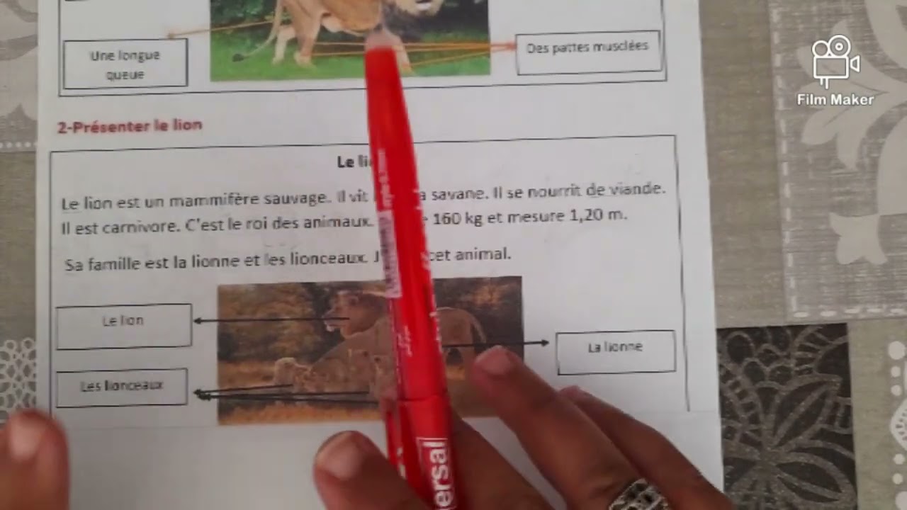 production écrite 5AP les animaux  c'est important de voir ❤❤