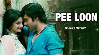 Pee Loon - Mohit Chauhan (slowed + reverb) | Song Place 1