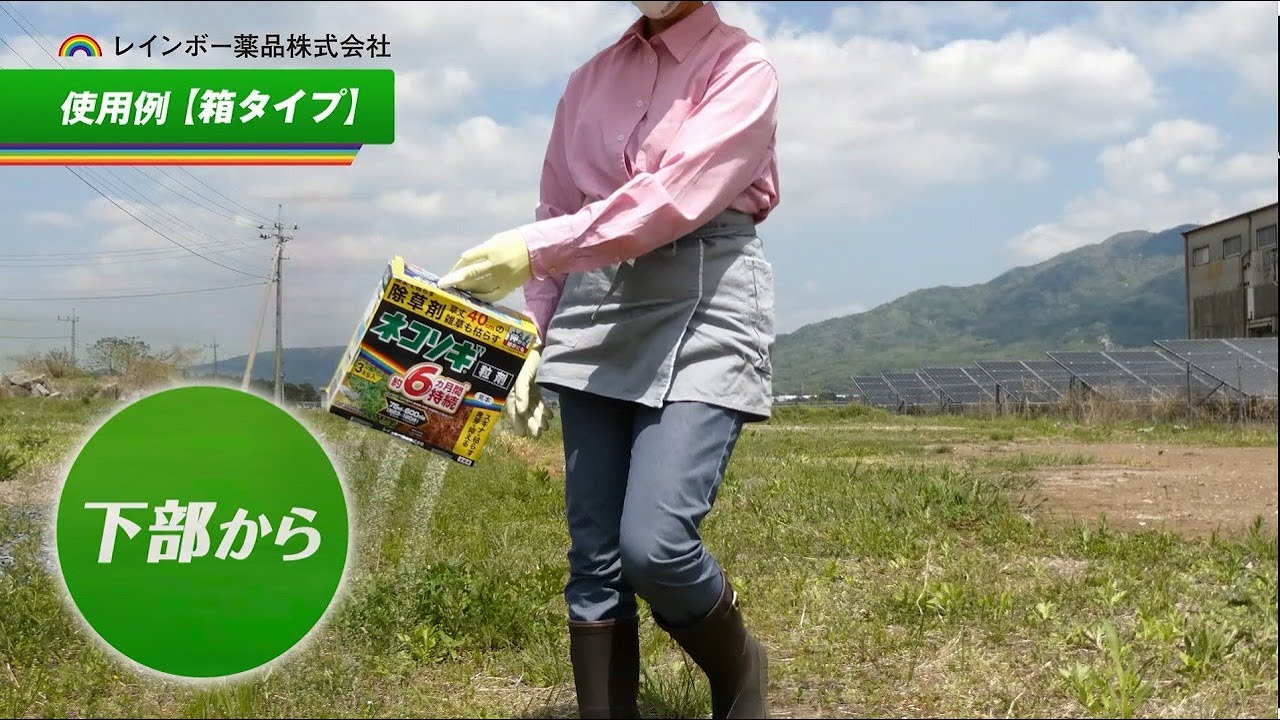 ネコソギブロックV粒剤 | 商品 | レインボー薬品株式会社