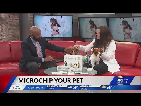 Video: Suņu aizbildnības cīņas Uzsver Microchipping Jūsu mājdzīvniekiem