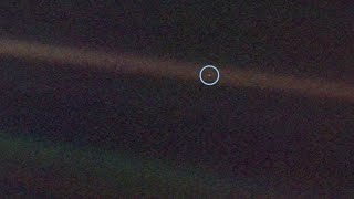 Cinespace Second Place - The Only Home We Will Ever Know