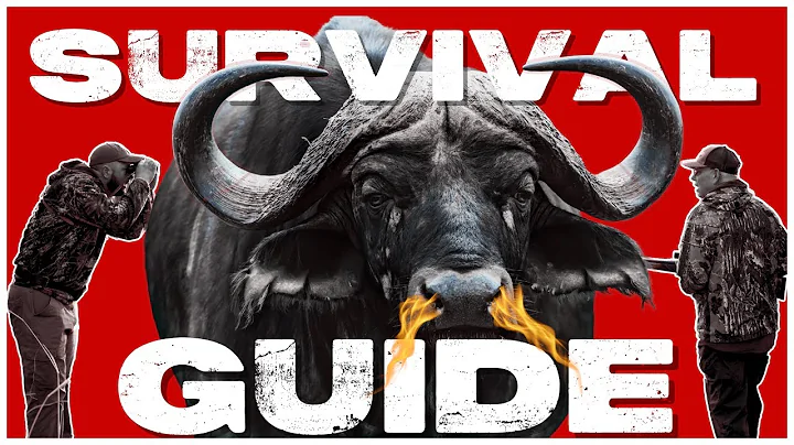 A First Timer's Guide to Cape Buffalo Hunting in 4 STEPS