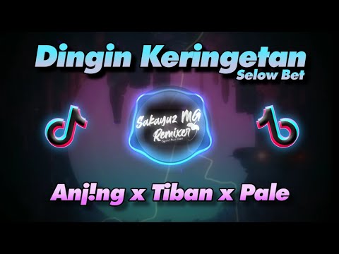 Dj Dingin Keringetan Selow Bet Dah NEW 2021 | Sakayuz MG