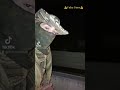 The best way to deal with your neighbors 🙂 #shorts #camodude #funny #airsoft #guns #shorts #memes