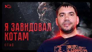 картинка: Я завидовал котам | история жизни | Стас