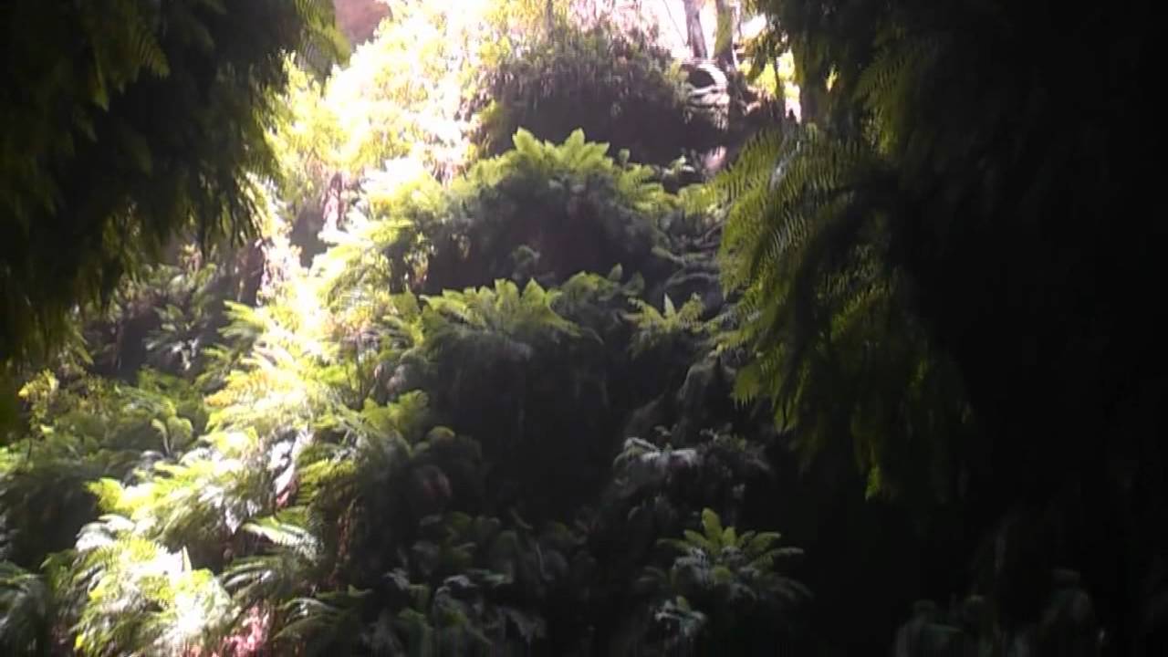 Ranon Canyon, Blue Mountain, NSW