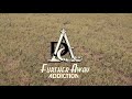 ADDICTION `Further away` MV