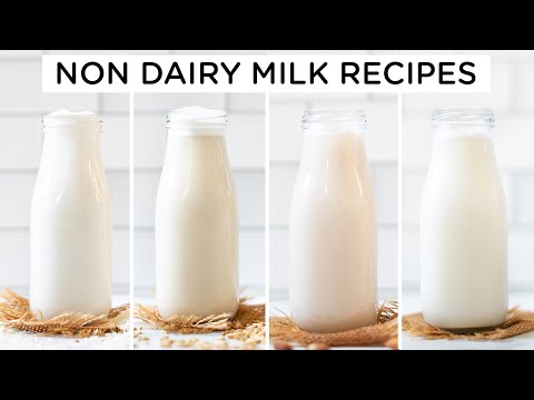 How to Make Non Dairy Milk ‣‣ 4 amazing ways!