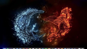 Usability Test Study(Amazon) - Screencast Project 4.1