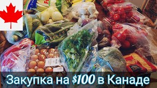 Закупка еды на 100 ДОЛЛАРОВ в КАНАДЕ! Что можно купить на эти деньги. Мы в Канаде.