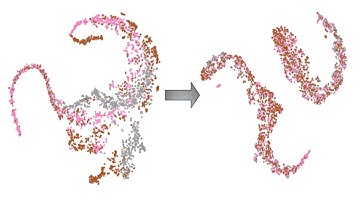 [P215] Domain Adaptation using Optimal Transport for Invariant Learning in Histopathology Datasets