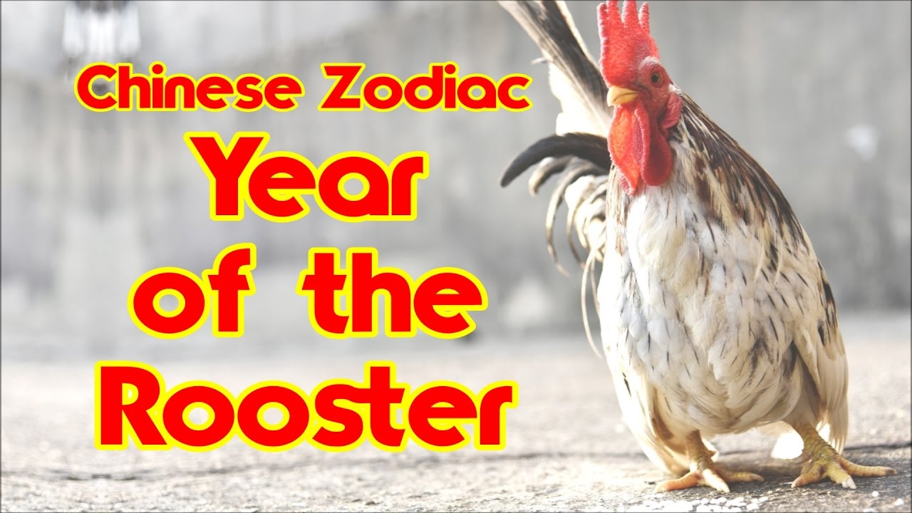 Year Of The Rooster Discover Your Chinese Zodiac YouTube