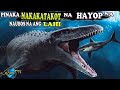 6  HAYOP Na NAUBOS Na Ang MGA LAHI | Mas Nakakatakot pa sa Dinosaur NAKAKATAKOT NA HAYOP