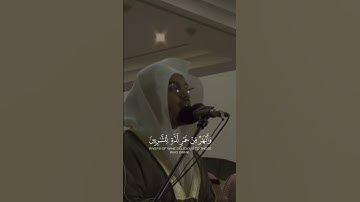 تلاوة من سورة محمد ~~ الشيخ ياسر الدوسري 😔😔