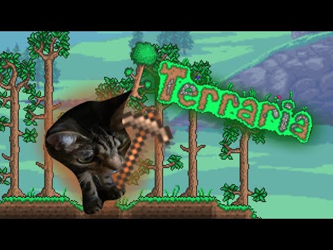Видео: My Cat Plays Teraria!?