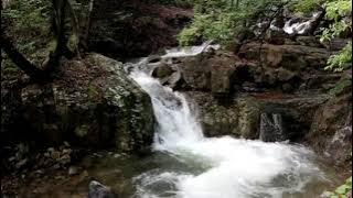 Relaxasi dengan musik suara gitar yang ringan dan riang