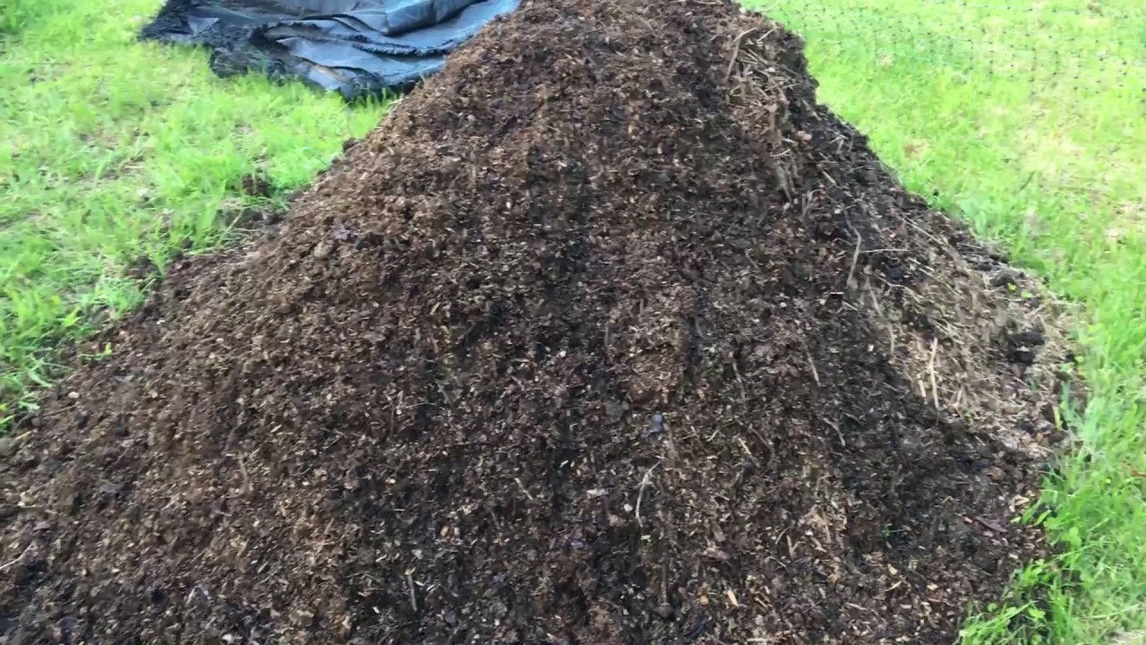 Go Green Peeing On Compost Heaps