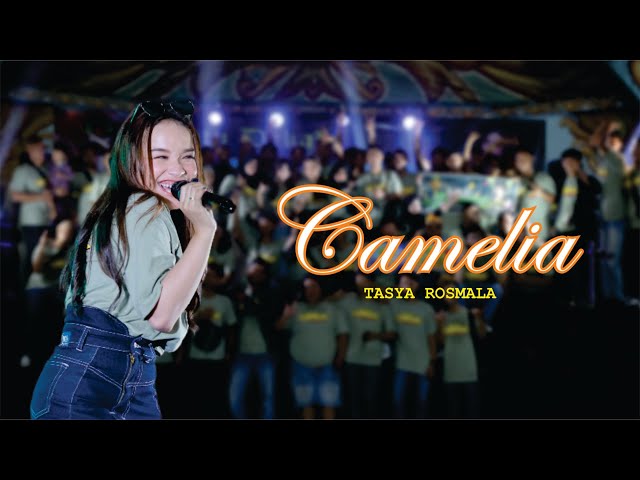 CAMELIA - TASYA ROSMALA ( GOPO MUSIC ) //ANNIVERSARY 1 DEKADE SNC INDONESIA class=