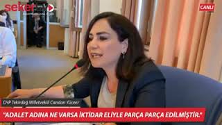 CHP Tekirdağ Milletvekili Candan Yüceer