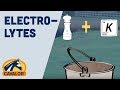 What are electrolytes and why are they important for your horse