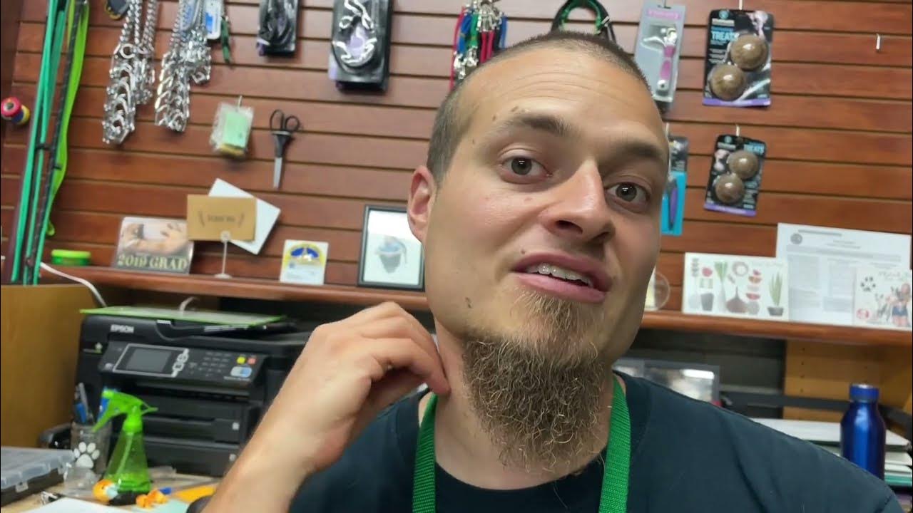 Dog Testing Underground Fence? Tips for Training and Reinforcing Underground Fence Training